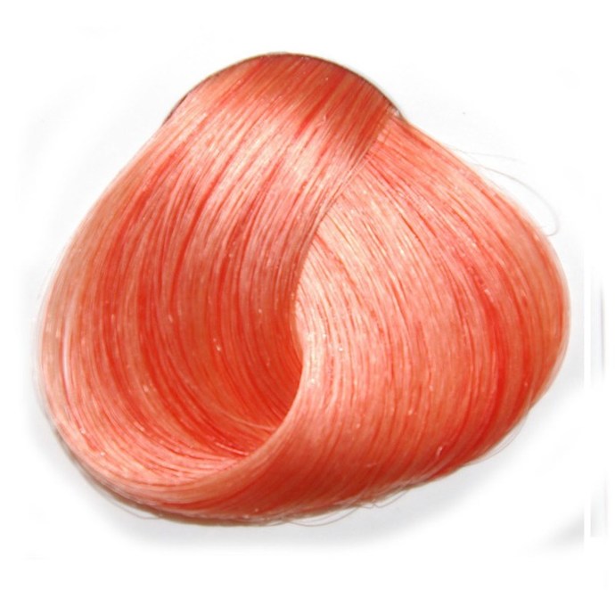 barva na vlasy DIRECTIONS