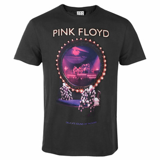 tričko pánské PINK FLOYD - DELICATE THUNDER ANNIVERSARY - charcoal - AMPLIFIED, AMPLIFIED, Pink Floyd