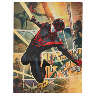 plakát (kovový) Spiderman - MARVEL - Poster Plate, Spiderman