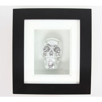 obraz Silver Skull In Frame, NNM