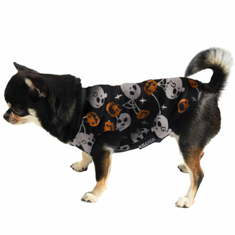 psí obleček KILLSTAR - Haunted Pumpkin, KILLSTAR